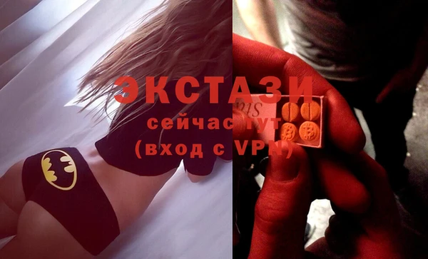 ECSTASY Богданович